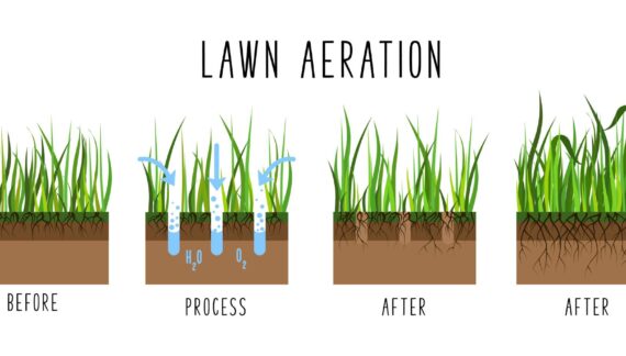 Illustration of the lawn aeration process showing before and after effects. The process demonstrates how aeration allows water (H2O) and oxygen (O2) to penetrate the soil, leading to deeper root growth and a healthier, thicker lawn.