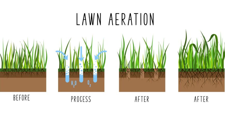 Illustration of the lawn aeration process showing before and after effects. The process demonstrates how aeration allows water (H2O) and oxygen (O2) to penetrate the soil, leading to deeper root growth and a healthier, thicker lawn.